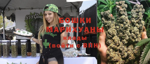 PSILOCYBIN Нефтегорск