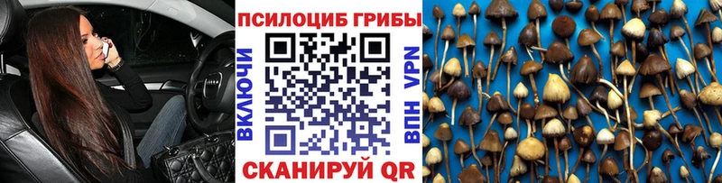 цена   Орлов  kraken зеркало  Галлюциногенные грибы MAGIC MUSHROOMS 