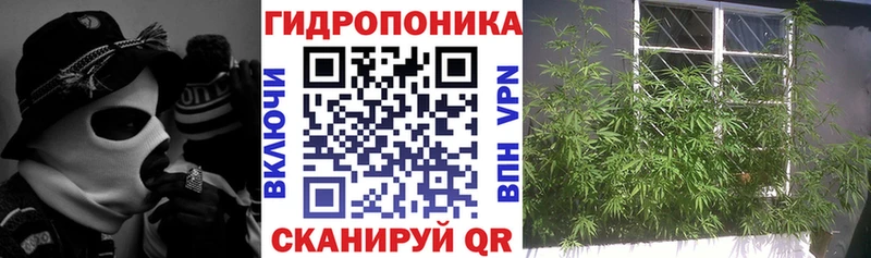 Конопля планчик  Орлов 